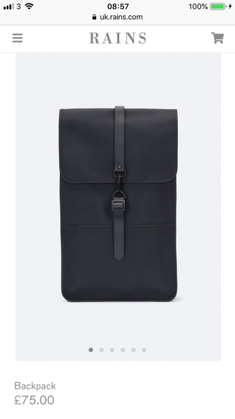 Any recommendations for a work laptop backpack that won't make me look 10?!