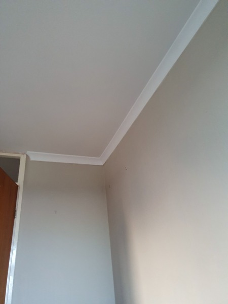 Home extension 2019 the Third thread- Drowning in Dust