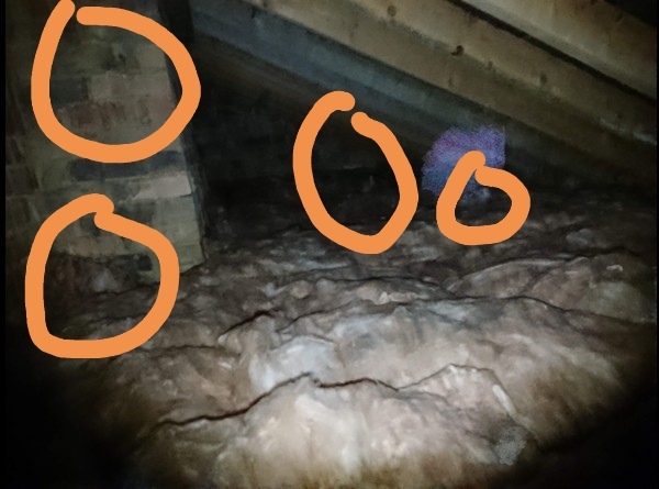 Please tell me this is not a ghost, even though it obviously is and I have to move