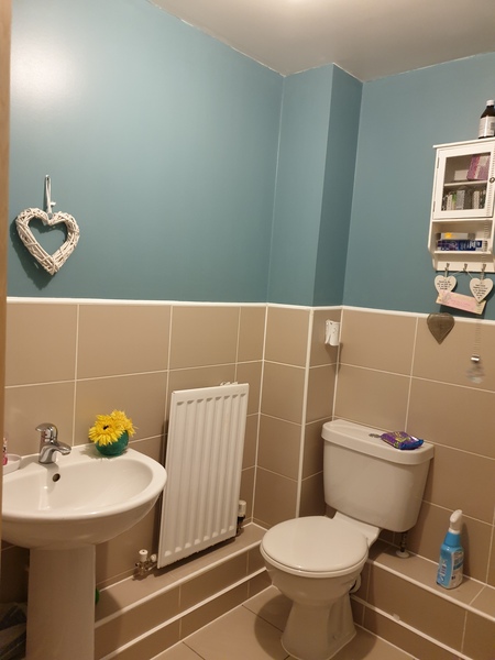 I've fucked up my bathroom. Help me fuck it up more?