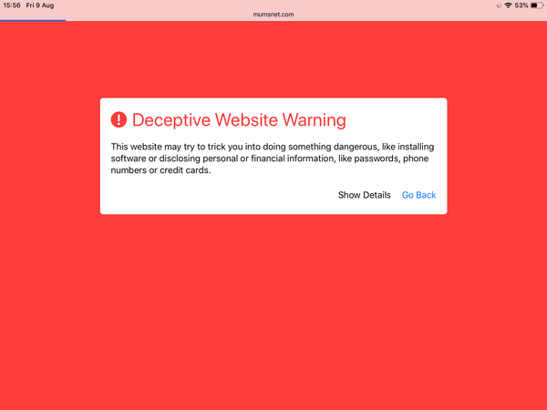 ‘Deceptive Website Warning’