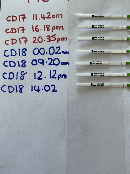 Ovulation after removing mirena