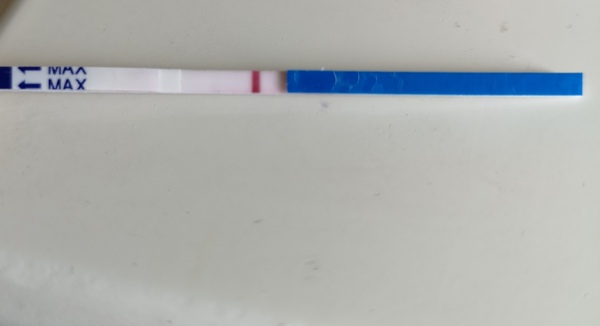 Diluted urine