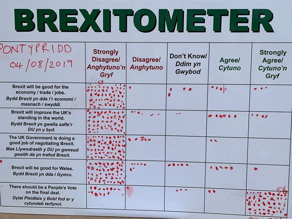 Westministenders: Brexit Preppers Are Traitors Who Don't Believe Enough
