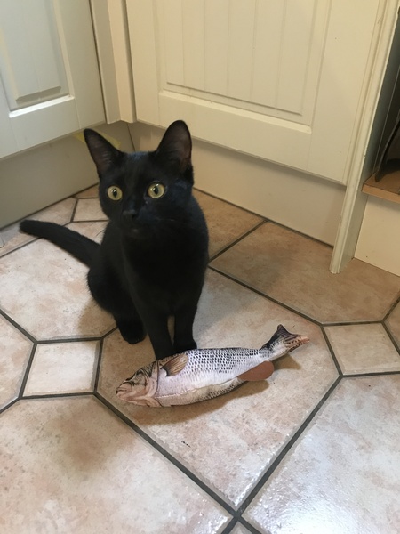 I caught me a fishy!