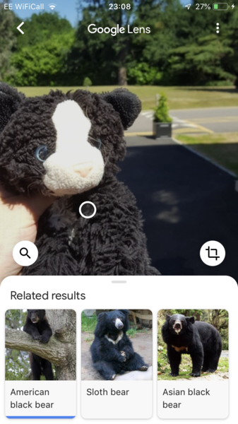 Lost toy cat, heartbroken DD can anyone help?