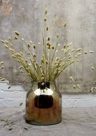 Can you identify these (fake?) plants?