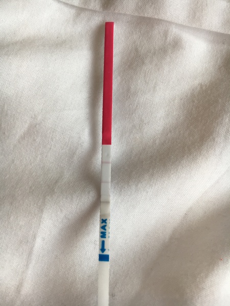 OPK positive then negative 2 hours later?