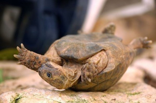 Due November 2019 thread 5