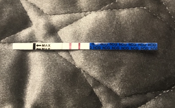 Pregnancy after Miscarriage
