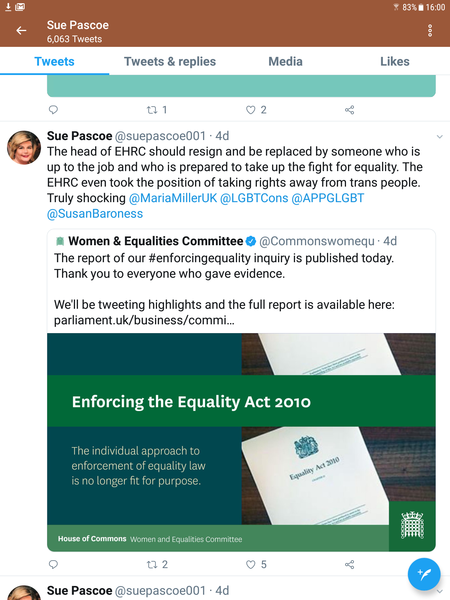 Enforcing the Equality Act