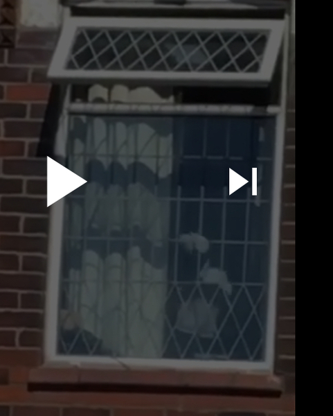 To think adults believing in ghosts are odd