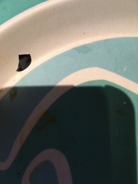 Warning re safety issue with bamboo kids' plates and cups