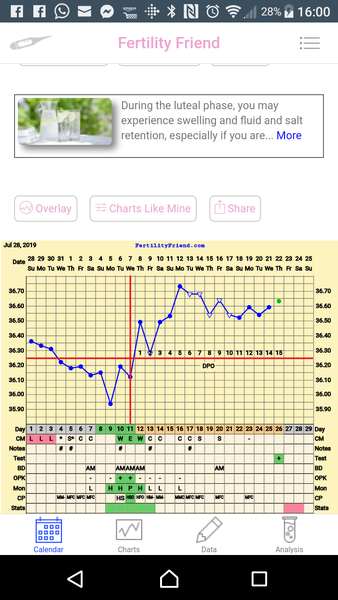 TTC after pregnancy loss thread 31 - baby penguins are coming!