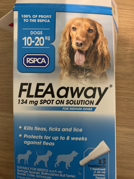 Fleas!