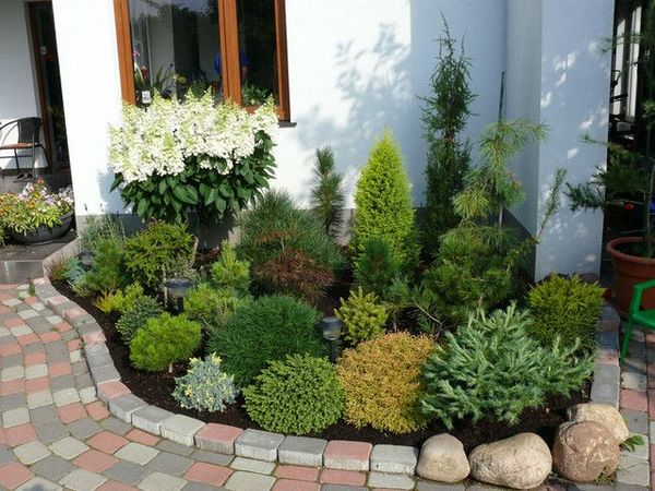 Help planning a garden
