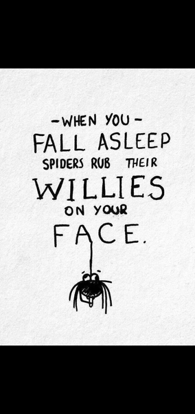NOOOO SOMETHING TERRIBLE JUST HAPPENED! **spider picture and baby****