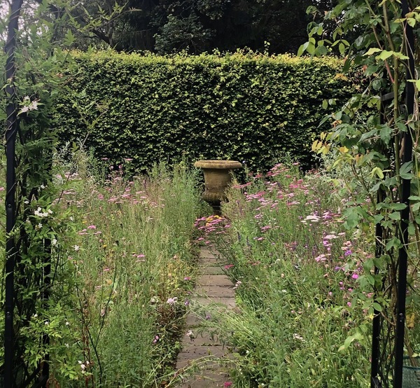 What to plant in a shady stone urn?
