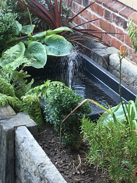 Anyone made a micro pond?