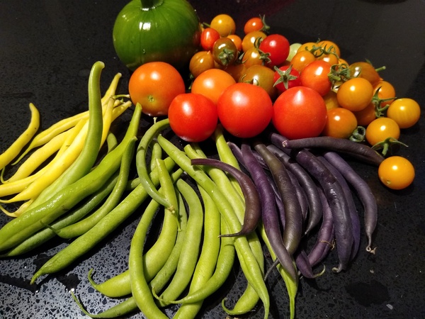 Allotment/Veg Patch Thread 14 ! growing into summer