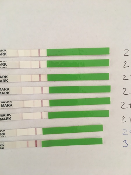 First time with OPKs. Advice on next steps!