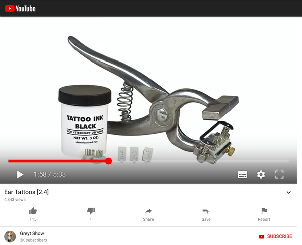 Porn stars and Dog tattoos