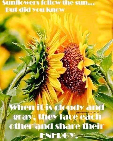 Any Witches Here? Part 9.