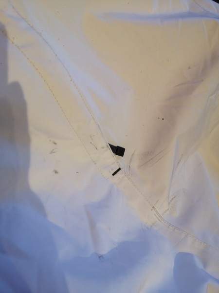 Stain remover help