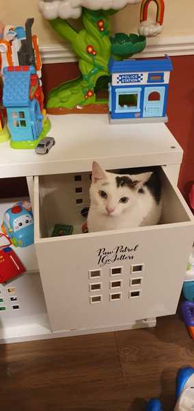 AIBU - my wife tore up my cardboard box and I'm mad as hell