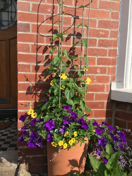 Westminstenders: Promises, promises