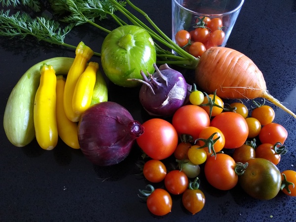 Allotment/Veg Patch Thread 14 ! growing into summer