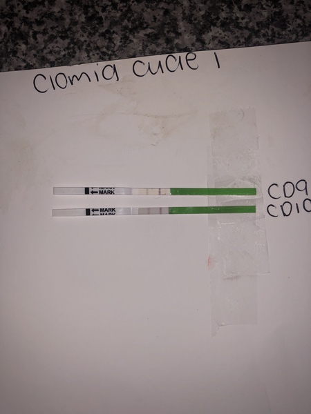 Clomid Thread 2019 V2
