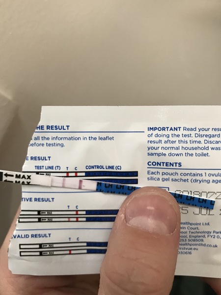 HELP IS THIS A POSITIVE OVULATION TEST