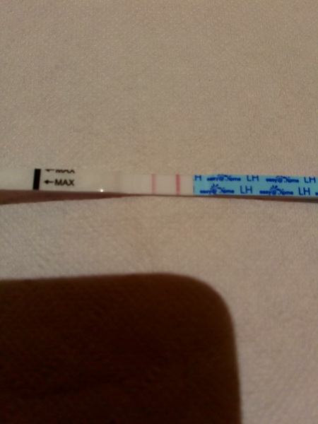 TTC after pregnancy loss thread 31 - baby penguins are coming!