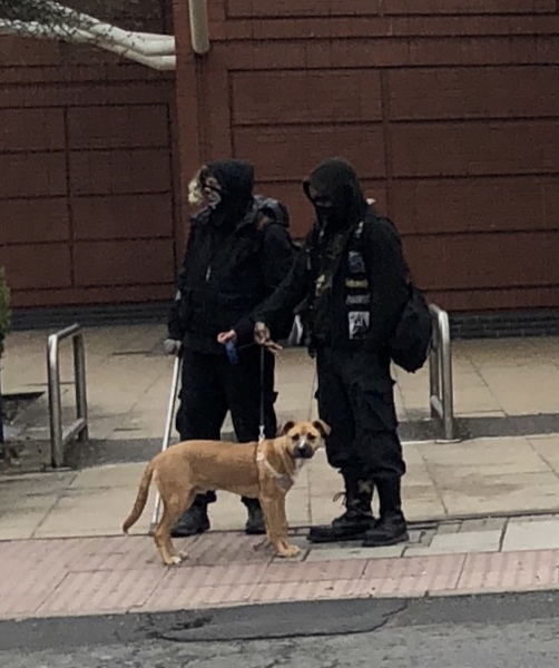 Furries & gimp masks at Surrey Pride