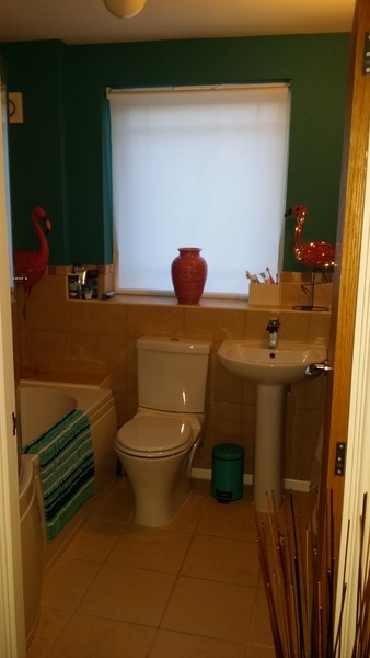 I've fucked up my bathroom. Help me fuck it up more?