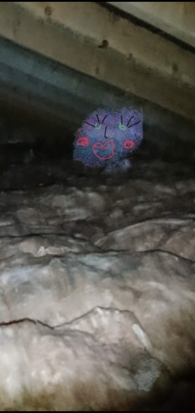 Please tell me this is not a ghost, even though it obviously is and I have to move
