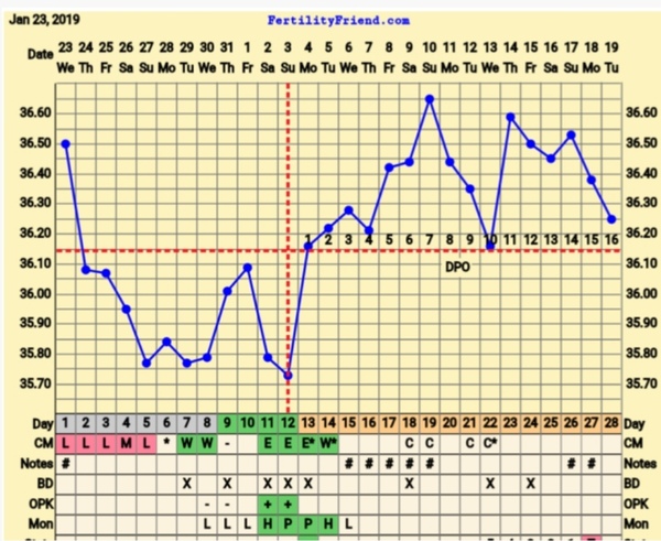 Sperm Meets Egg #2