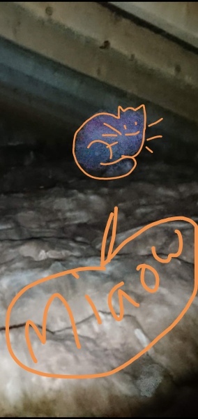 Please tell me this is not a ghost, even though it obviously is and I have to move