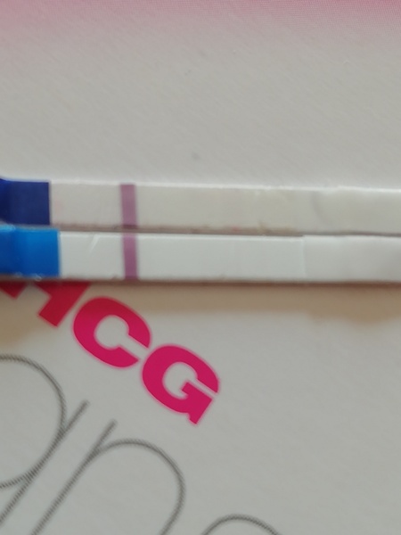 Freedom test strips- confusing lines