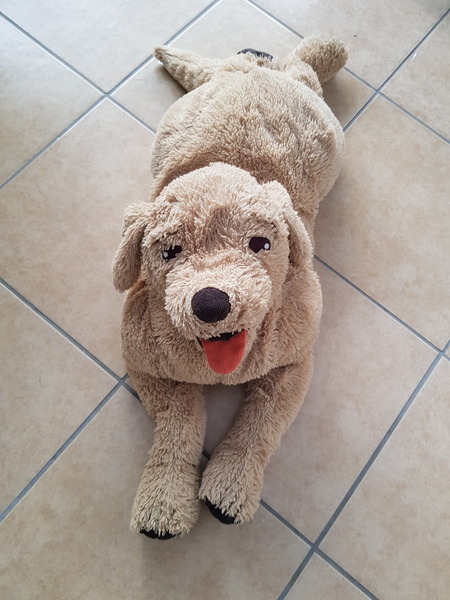 Help needed with smelly soft toy