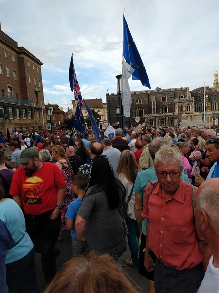 Protests against Brexit.*title edited by MNHQ at OP's request*