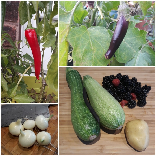 Allotment/Veg Patch Thread 14 ! growing into summer