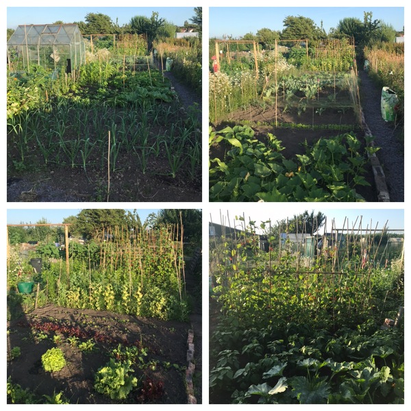 Hell is ever closer-how's your stash looking?