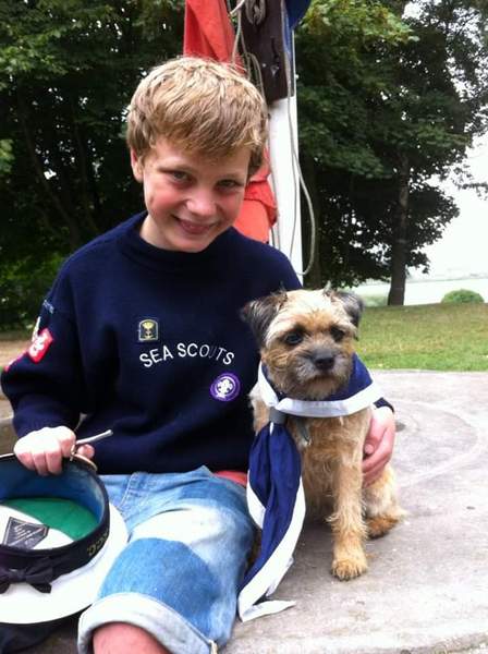 Opinions on terriers or other people focused small breeds?