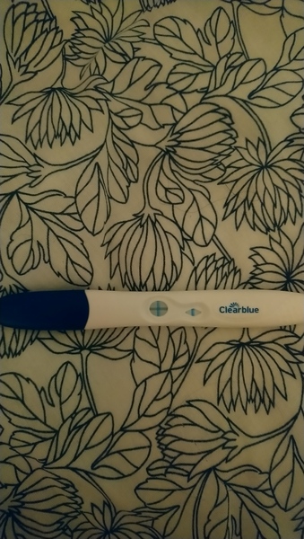 Sperm Meets Egg (hopefully)