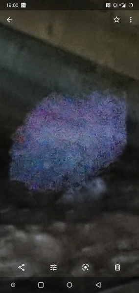 Please tell me this is not a ghost, even though it obviously is and I have to move