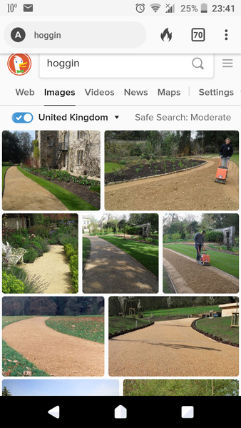 If your back garden doesn't have a lawn...