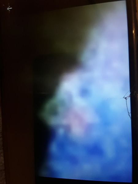 Please tell me this is not a ghost, even though it obviously is and I have to move