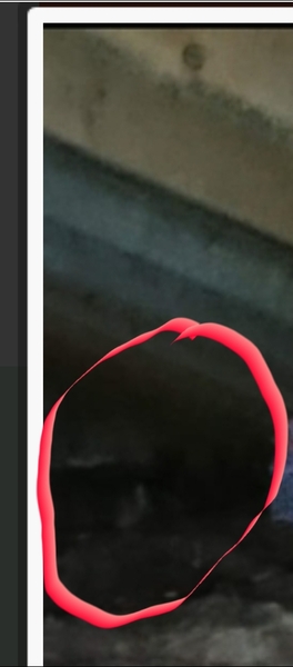 Please tell me this is not a ghost, even though it obviously is and I have to move